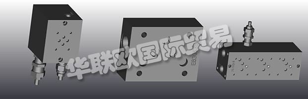 EUROFLUID Hydraulic是一家大型公司，專門生產(chǎn)液壓設(shè)備的歧管。