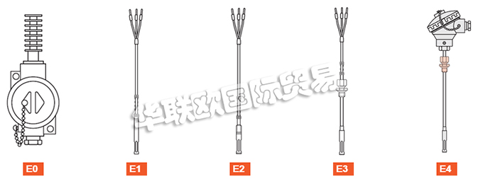 ELSI探頭、ELSI溫度計、熱電阻、熱電偶、熱電偶探頭、電阻溫度計探頭、溫度變送器、便攜式溫度計、滑動法蘭、電子溫度計連接頭、滑動螺紋配件。
